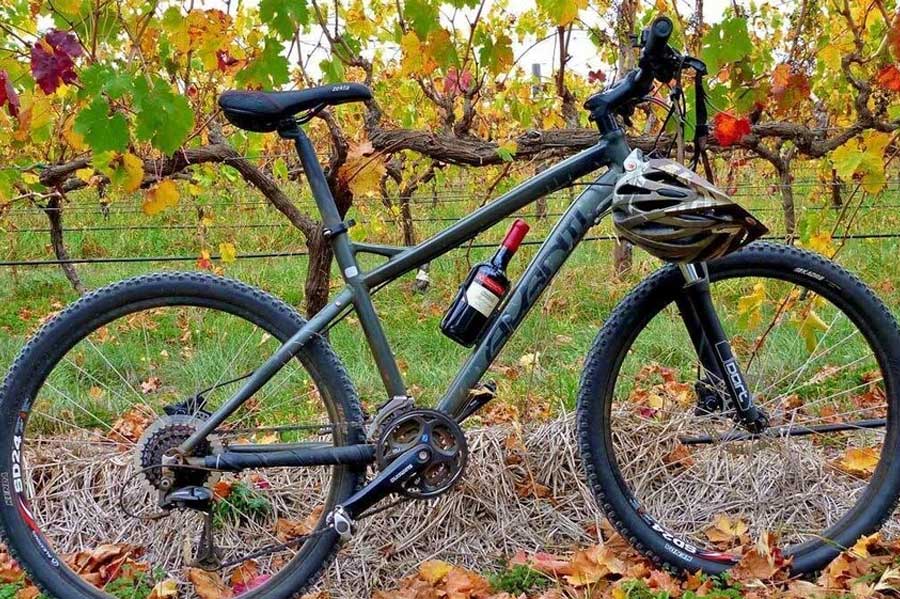 mclaren-vale-winery-bike-tour